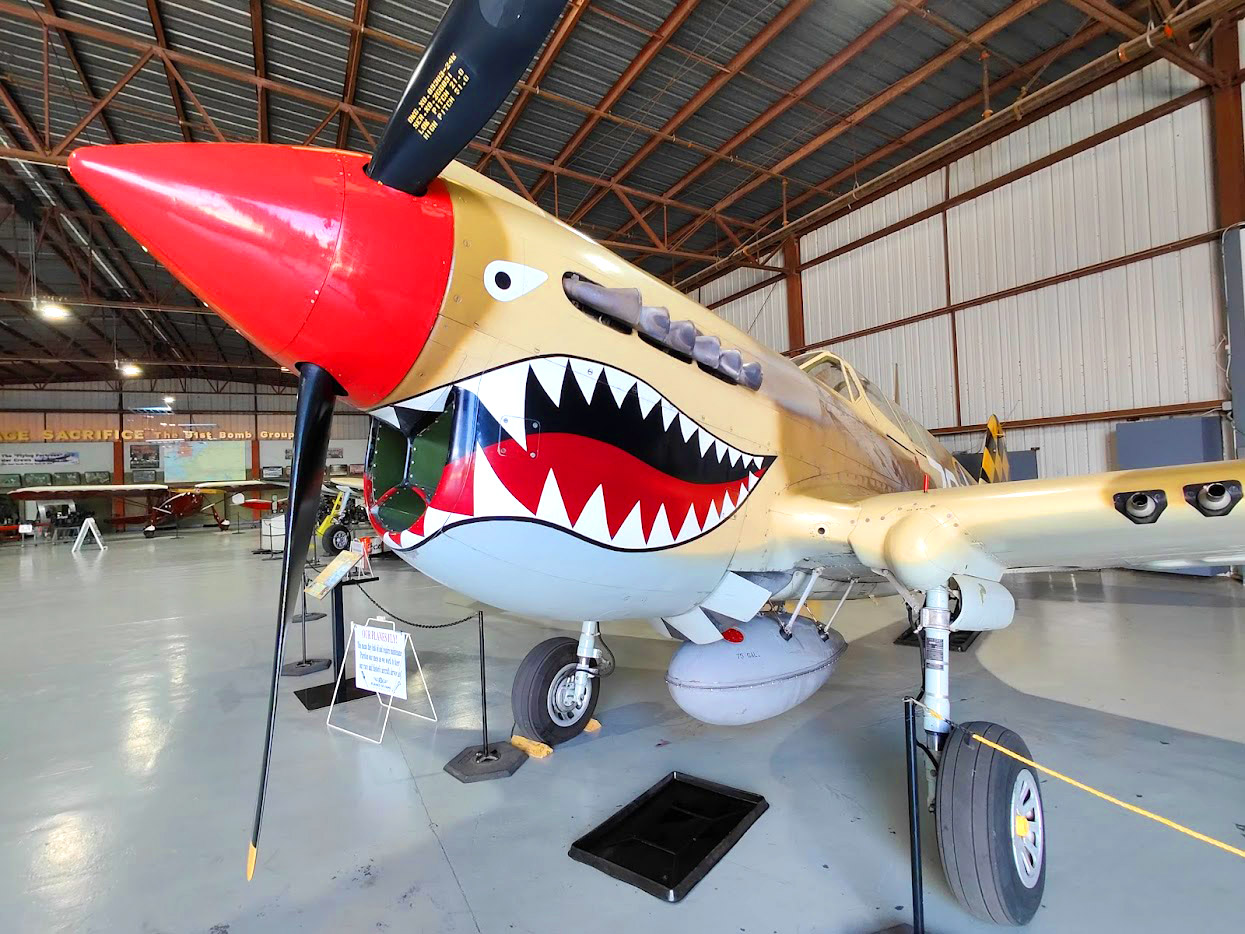 Historic shark-mouth military fighter aircraft displayed inside a Planes of Fame museum hangar